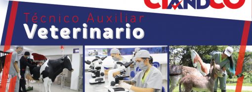 Estudia Técnico Auxiliar Veterinario en Ciandco