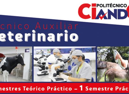 Estudia Técnico Auxiliar Veterinario en Ciandco